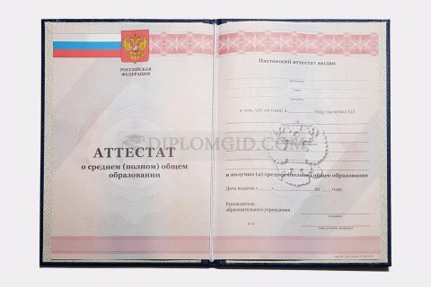 аттестат 11 класс 2010-2013 года